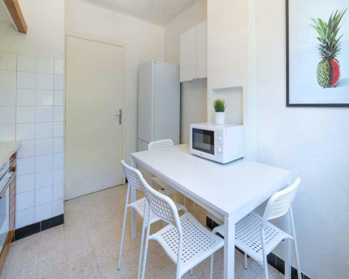 Rue du Professeur Louis Thomas, Montpellier