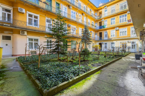 Inviting studio near Palace District