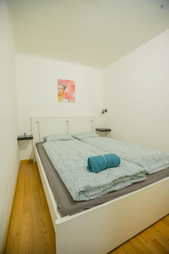 Lovely 2 bedroom apartment near Opera metro