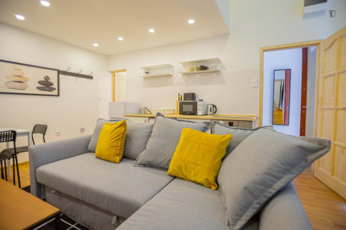 Lovely 2 bedroom apartment near Opera metro