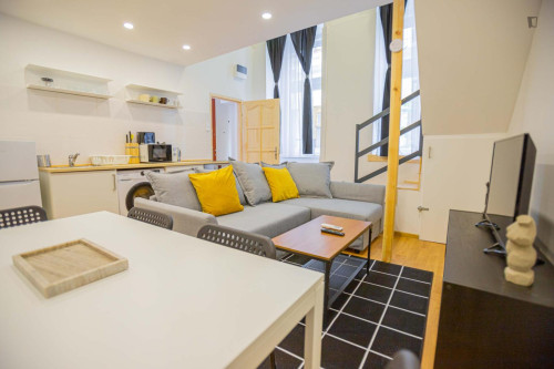 Lovely 2 bedroom apartment near Opera metro