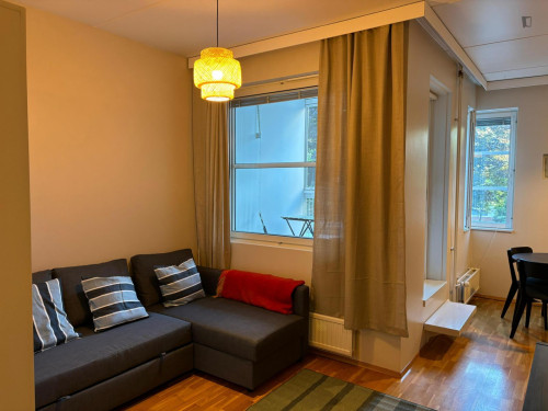 Bright Studio with a Balcony close to Hakaniemi Metro - Gallery - 5