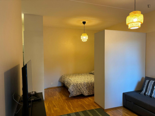 Bright Studio with a Balcony close to Hakaniemi Metro - Gallery - 4