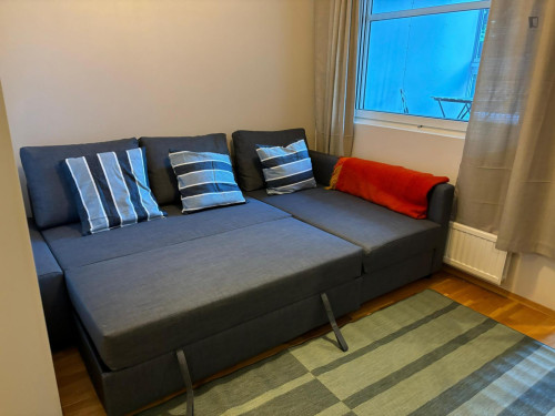 Bright Studio with a Balcony close to Hakaniemi Metro - Gallery - 10