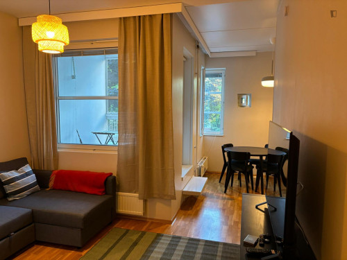 Bright Studio with a Balcony close to Hakaniemi Metro - Gallery - 2