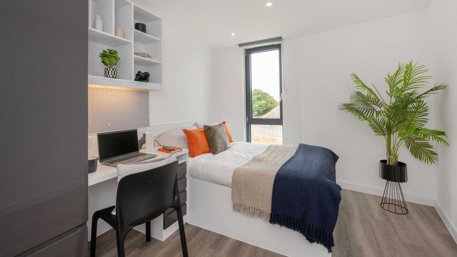 Luxe En-Suite - 7