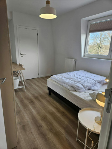 Rue de Lille, Lambersart