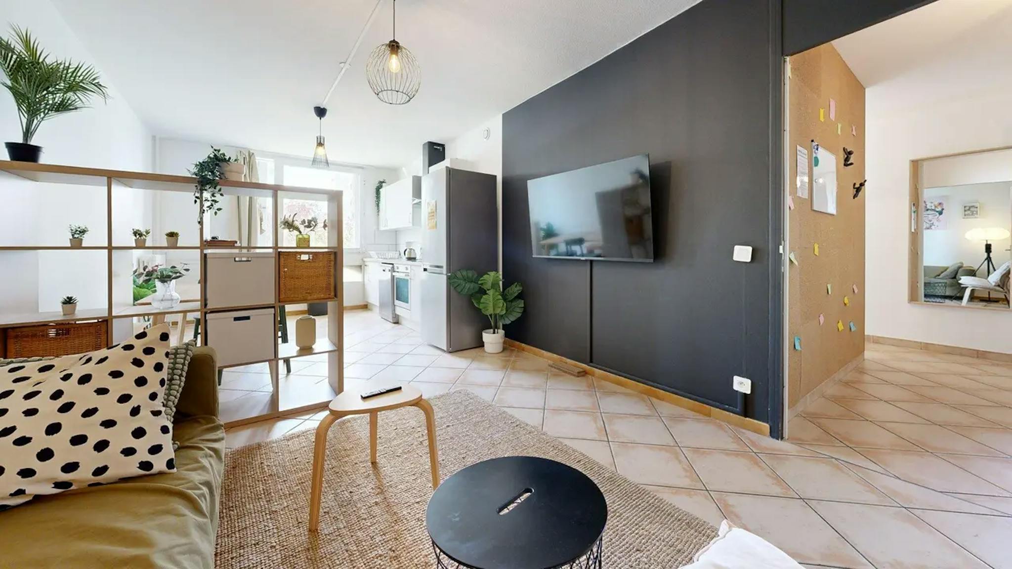  Private Room  -  Rue Philippe Fabia, Lyon  - Gallery -  1