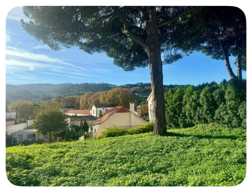 Rua das Horas e Paz, Colares  - Gallery -  5