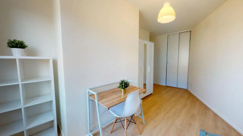 Cours Tolstoï, Villeurbanne
