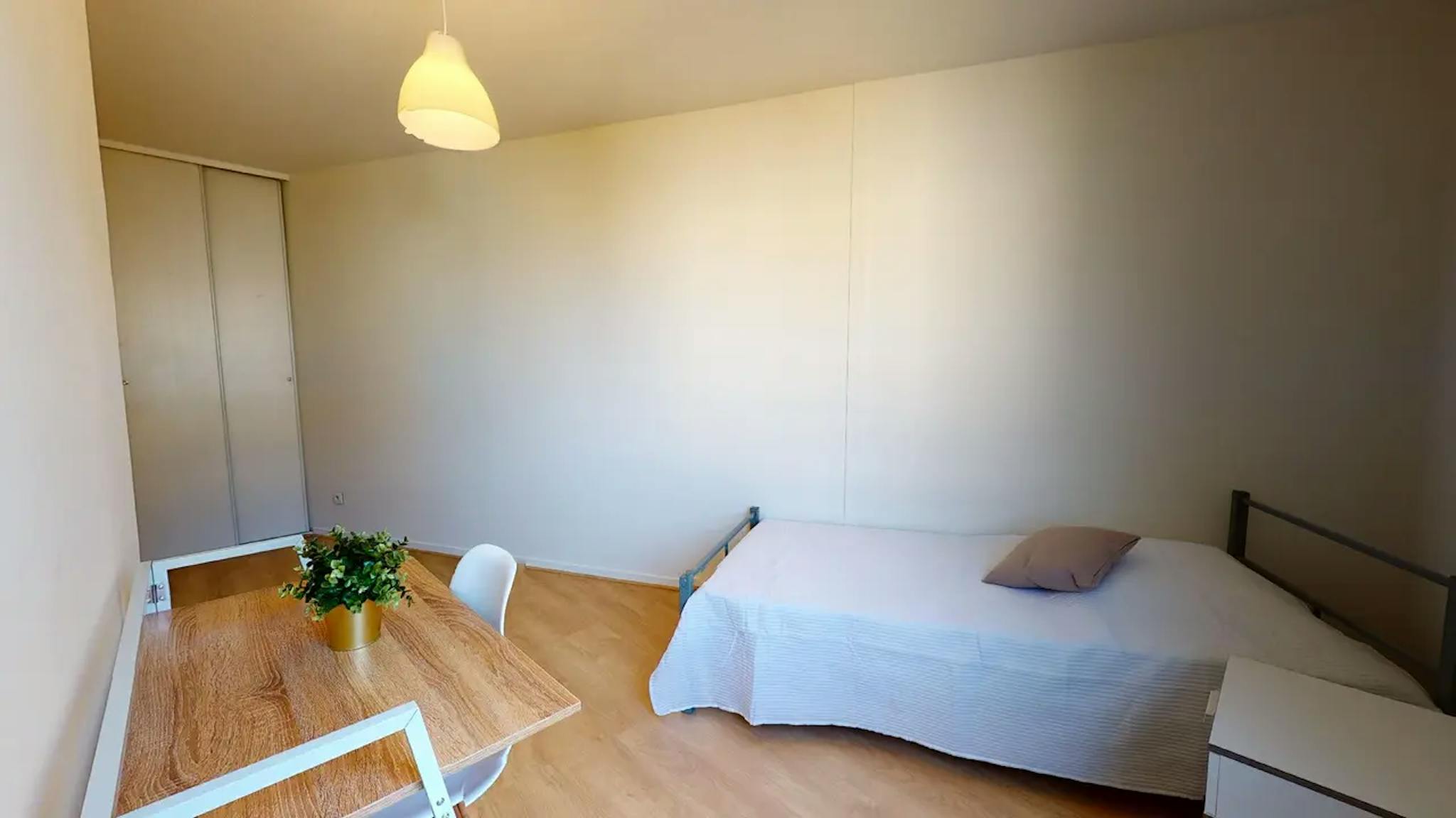  Private Room  -  Cours Tolstoï, Villeurbanne  - Gallery -  1