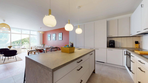 Large double bedroom near Parc de la Maison Blanche - Gallery - 9