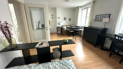 Bendlgasse, Vienna
