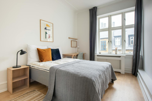 H. C. Andersens Boulevard, København