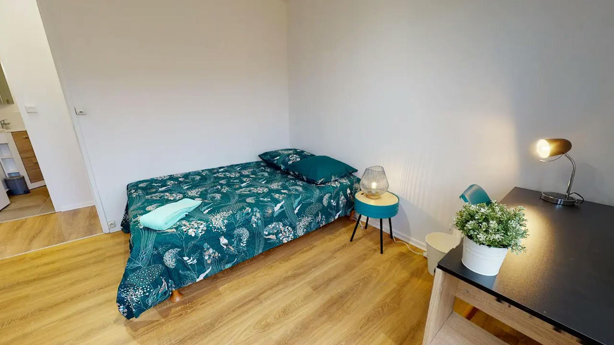 Private Room  -  Rue de Saint-Cyr, Lyon  - Gallery -  2