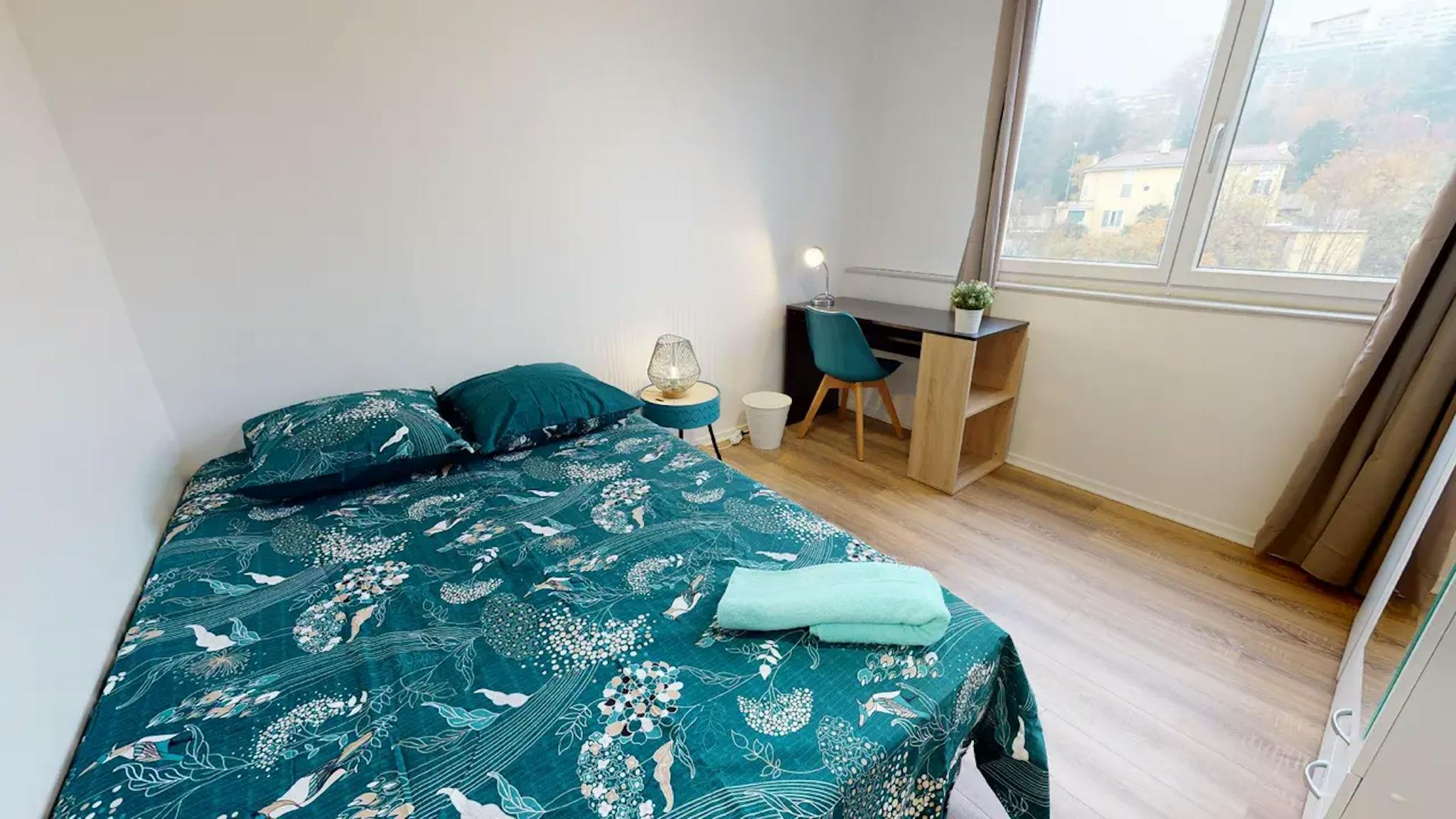  Private Room  -  Rue de Saint-Cyr, Lyon  - Gallery -  1