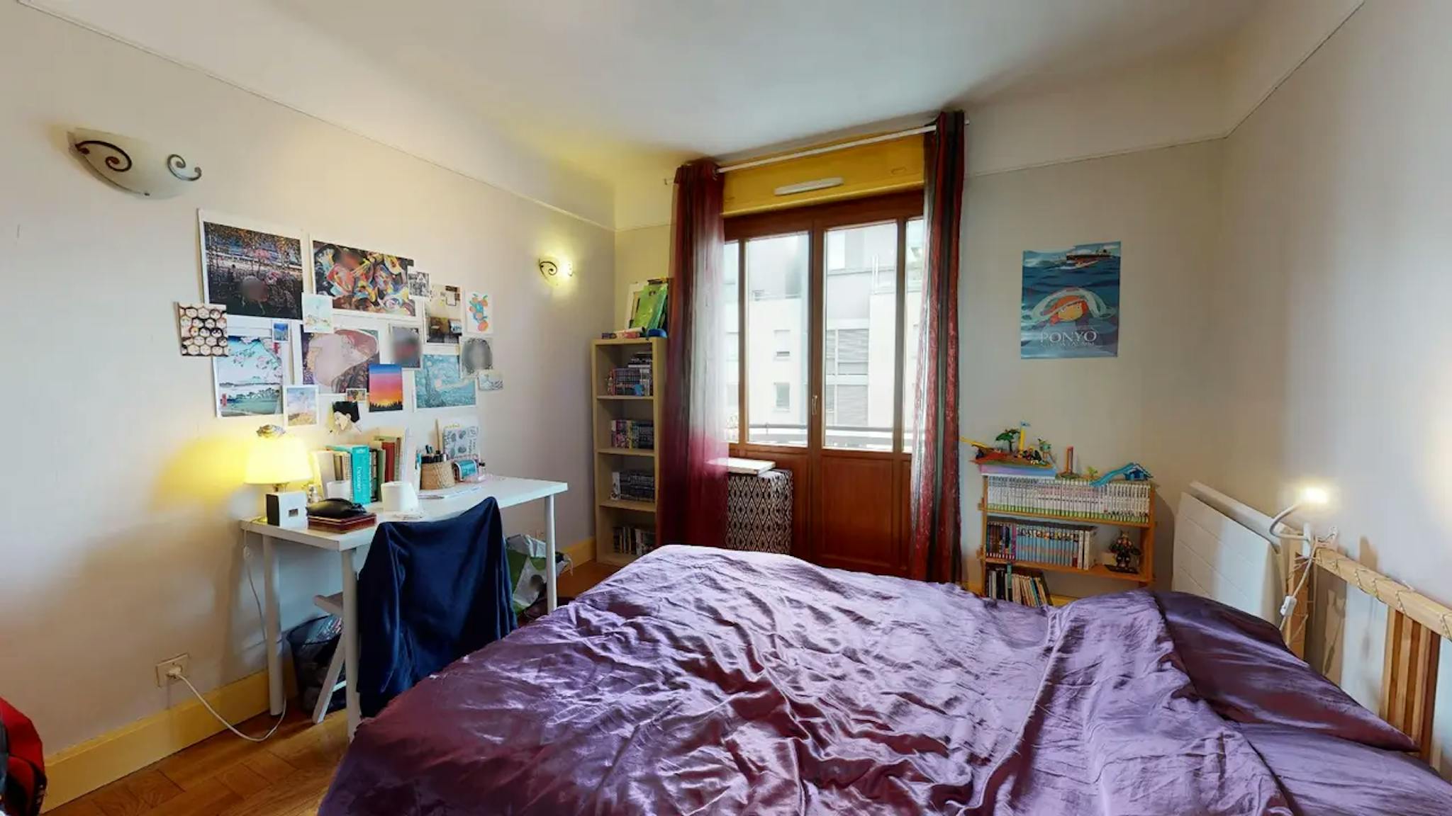  Private Room  -  Rue Pierre Delore, Lyon  - Gallery -  1
