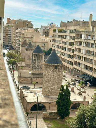 Carrer de la Indústria, Palma