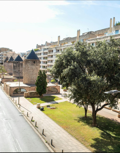 Carrer de la Indústria, Palma