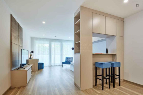 Inviting studio near the Pragfriedhof subway station