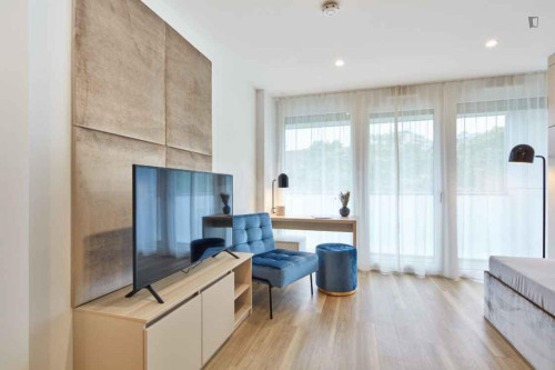 Inviting studio near the Pragfriedhof subway station