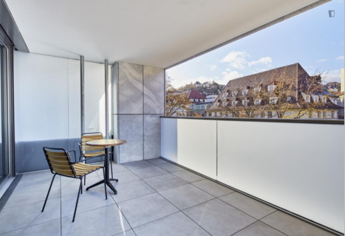 Charming studio in the Stuttgart-North