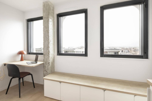 Neat and cosy single ensuite bedroom in 15th arrondissement