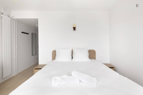 Neat and cosy single ensuite bedroom in 15th arrondissement - Gallery - 6