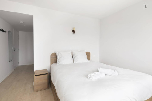 Neat and cosy single ensuite bedroom in 15th arrondissement