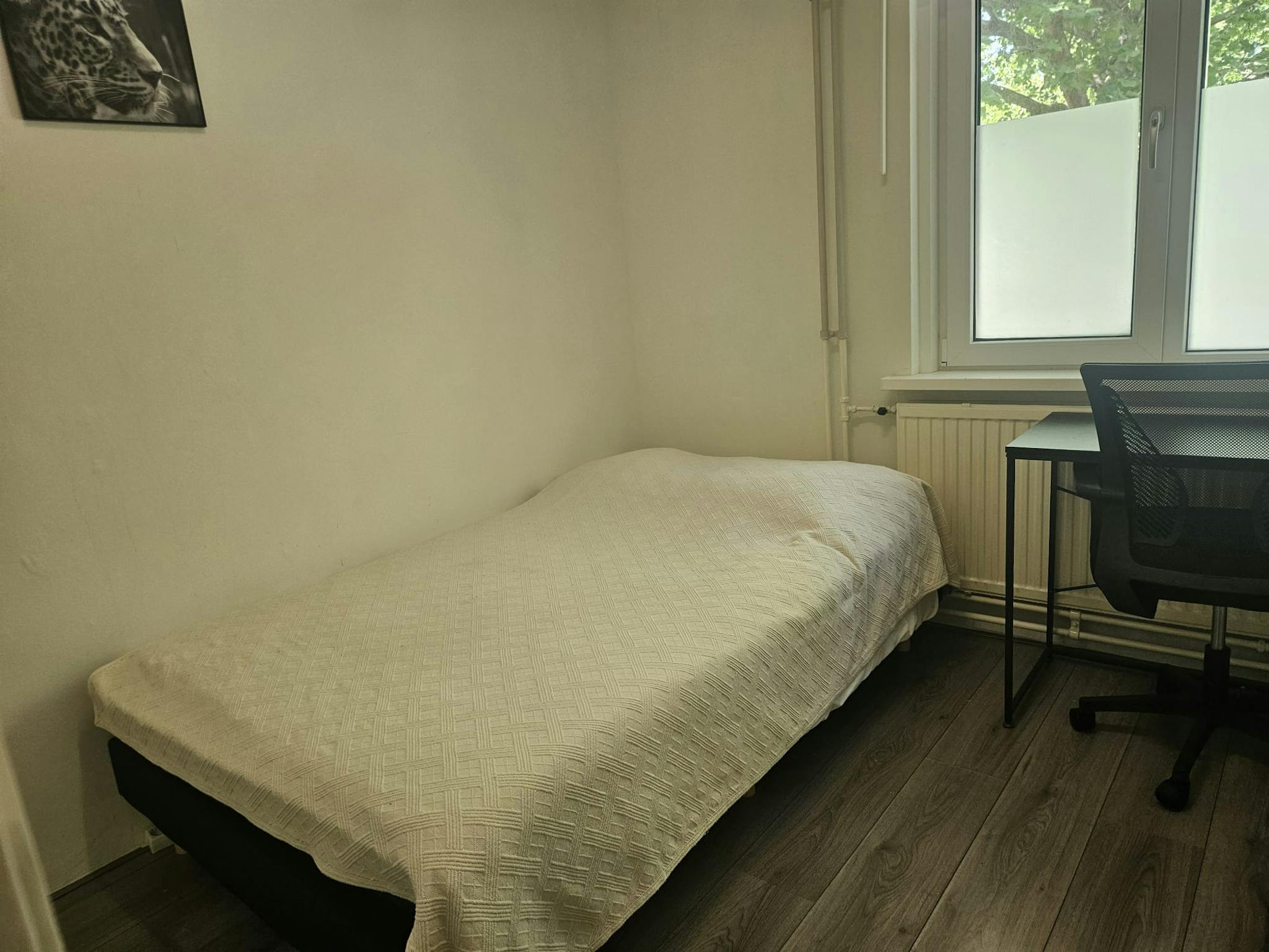  Shared Room  -  Vreelandplein, Amsterdam  - Gallery -  1