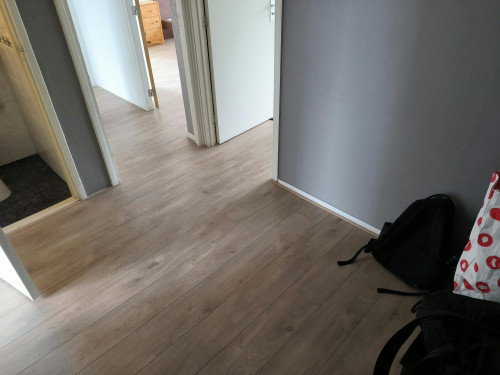 Vredeman de Vriesstraat, Rotterdam  - Gallery -  5