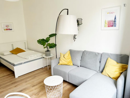 Bright double bedroom near the Vienna University of Economics and Business