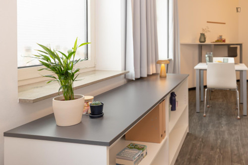Snug studio near Universität Münster - Gallery - 506