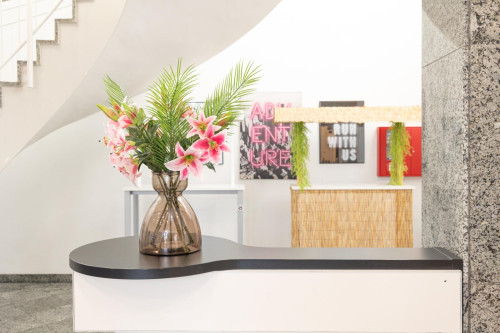 Snug studio near Universität Münster - Gallery - 599
