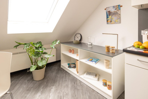 Snug studio near Universität Münster - Gallery - 430