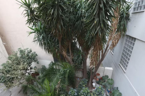 Cozy single bedroom close to the Agricultural University of Athens