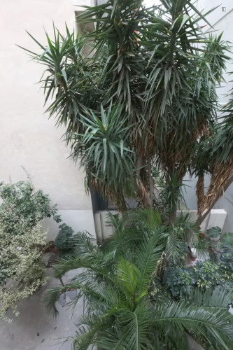 Comfortable twin bedroom near the Athens University of Economics and Business