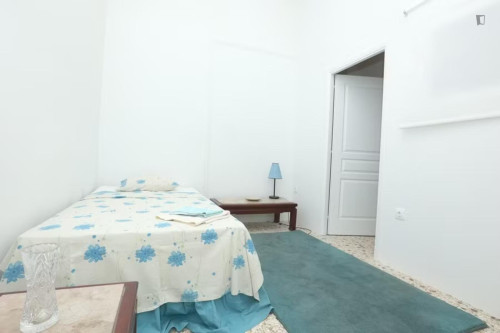 Snug single bedroom close to the Agricultural University of Athens