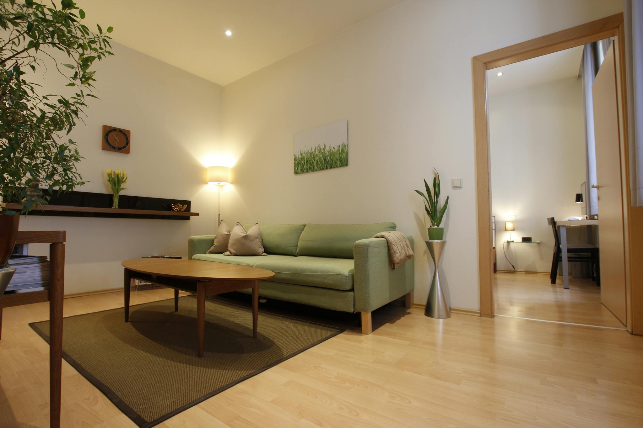  Entire Place  -  Haydngasse, Vienna  - Gallery -  1