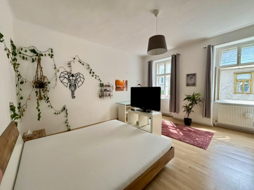 Lerchenfelder Straße, Vienna  - Gallery -  5
