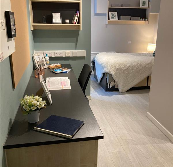  Studio Silver  -  Portsburgh Court Roost  - Gallery -  2