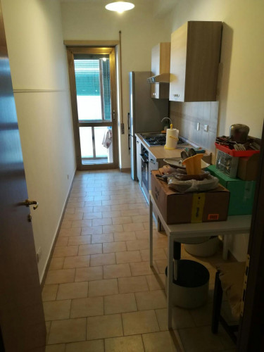 Viale Arcangelo Ghisleri, Cremona - Gallery - 8