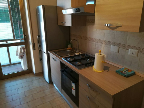 Viale Arcangelo Ghisleri, Cremona - Gallery - 6