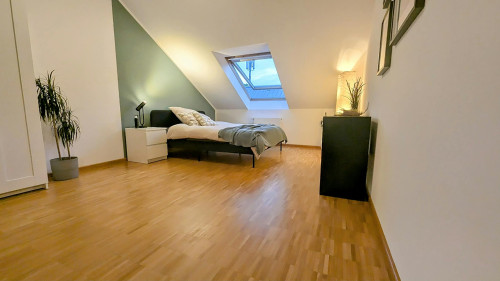 Brienner Straße, Munich