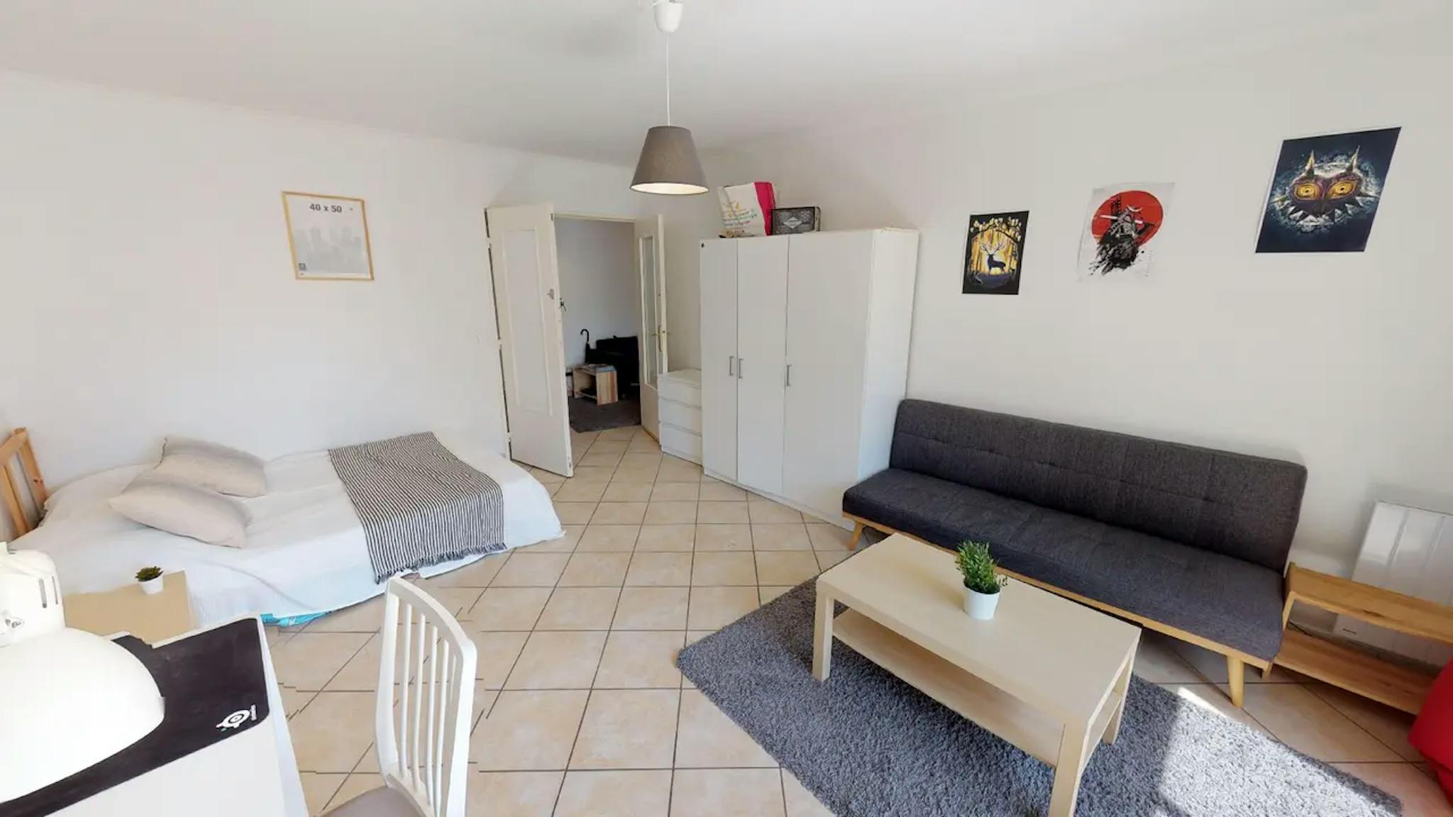 Private Room  -  Rue des Trois Pierres, Lyon  - Gallery -  1