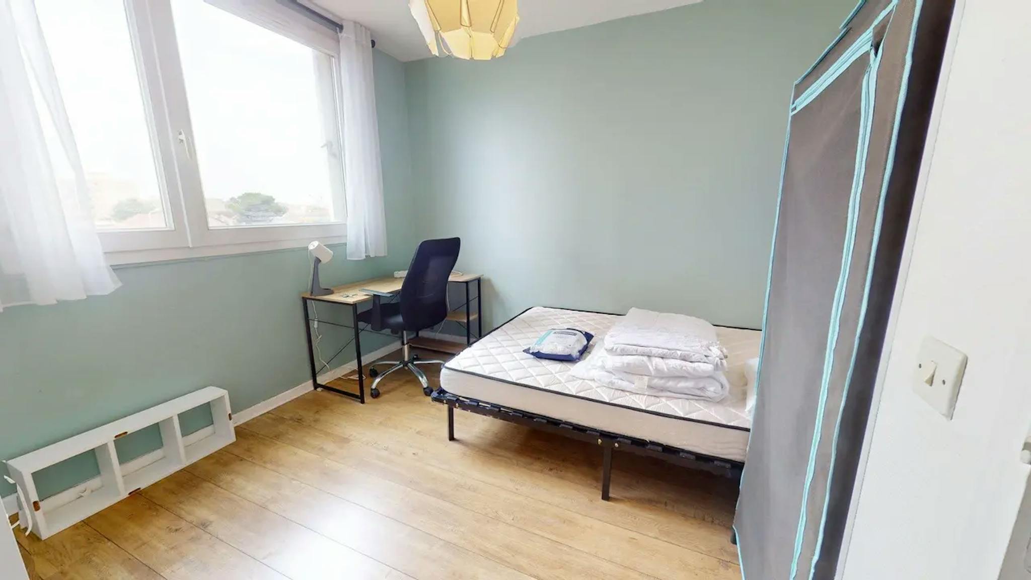  Private Room  -  Rue Philippe Fabia, Lyon  - Gallery -  1