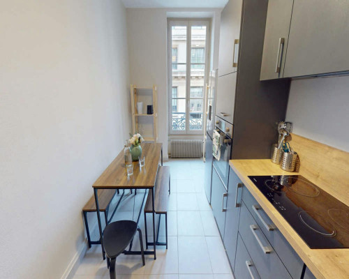 Rue du Président Édouard Herriot, Lyon  - Gallery -  5