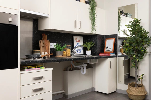  Large High Double Studio  -  Salisbury Court Unite  - Gallery -  2