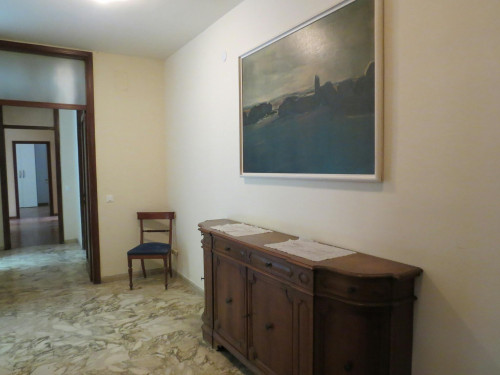 Via San Giuseppe Benedetto Cottolengo, Pisa - Gallery - 6