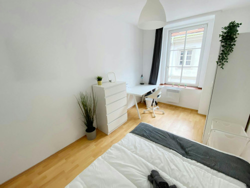 Kirchberggasse, Vienna  - Gallery -  5